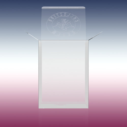 100-Pack Crystal Clear Vinyl Figure Protectors Compatible with 4-Inch Collectibles – Heavy-Duty Display Cases with 0.5mm Thickness for Water, Dust &