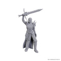 D&D Nolzur's Marvelous Unpainted Miniatures: Blackguard