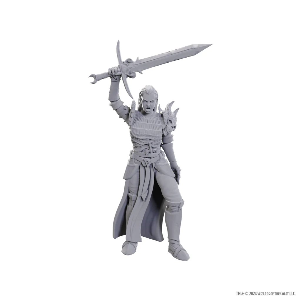 D&D Nolzur's Marvelous Unpainted Miniatures: Blackguard