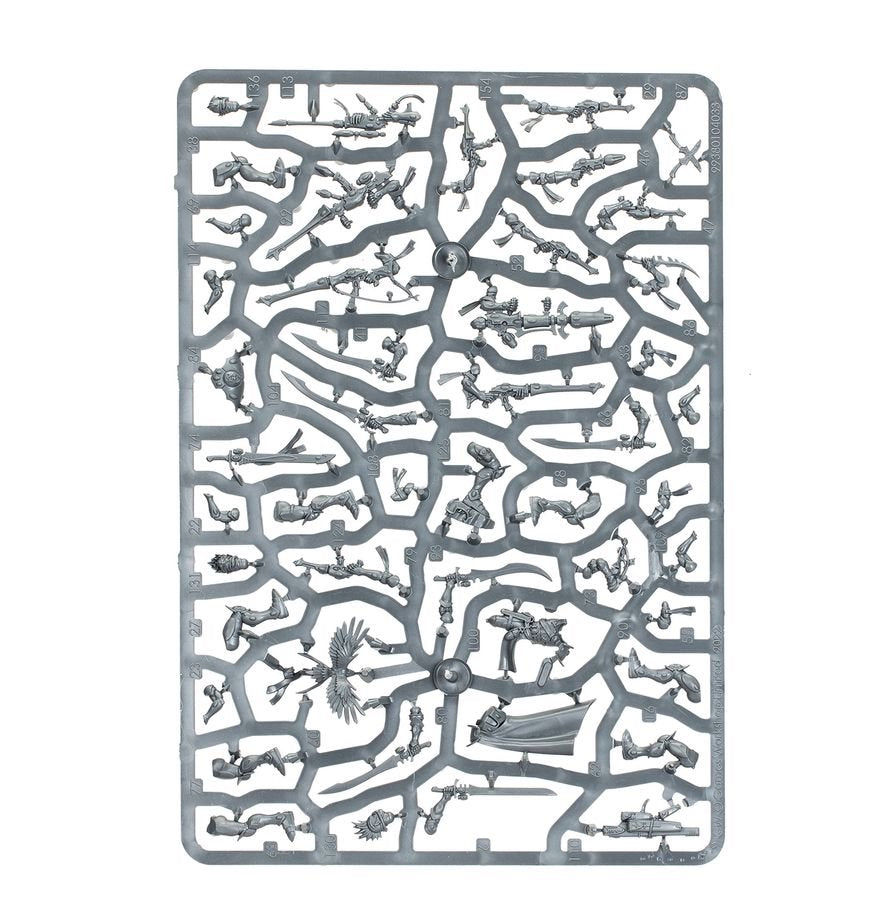 Warhammer 40,000 Aeldari Corsair Voidreavers – 10 Plastic Miniatures for Warhammer 40K, Elite Aeldari Infantry with Melee & Ranged Build Options