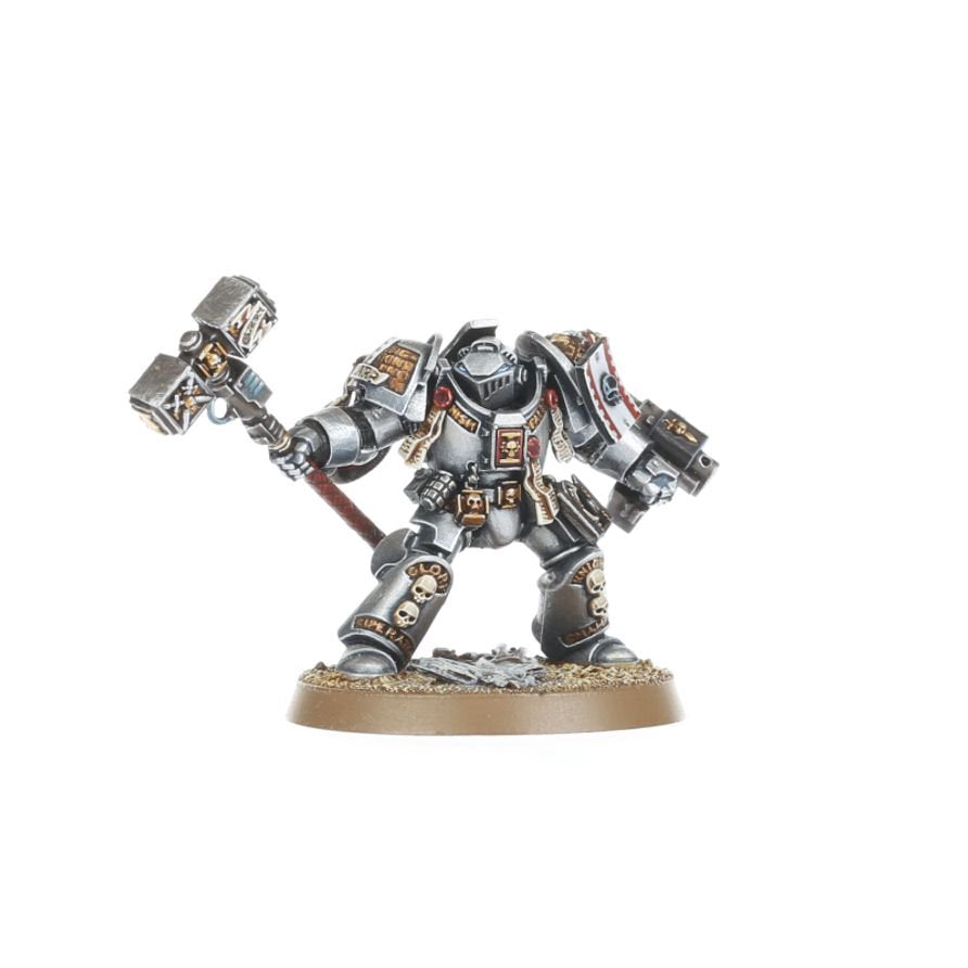 Warhammer 40K Combat Patrol Grey Knights Army Set – 17 Miniatures Including Castellan Crowe, Strike Squad, Brotherhood Terminators & Venerable